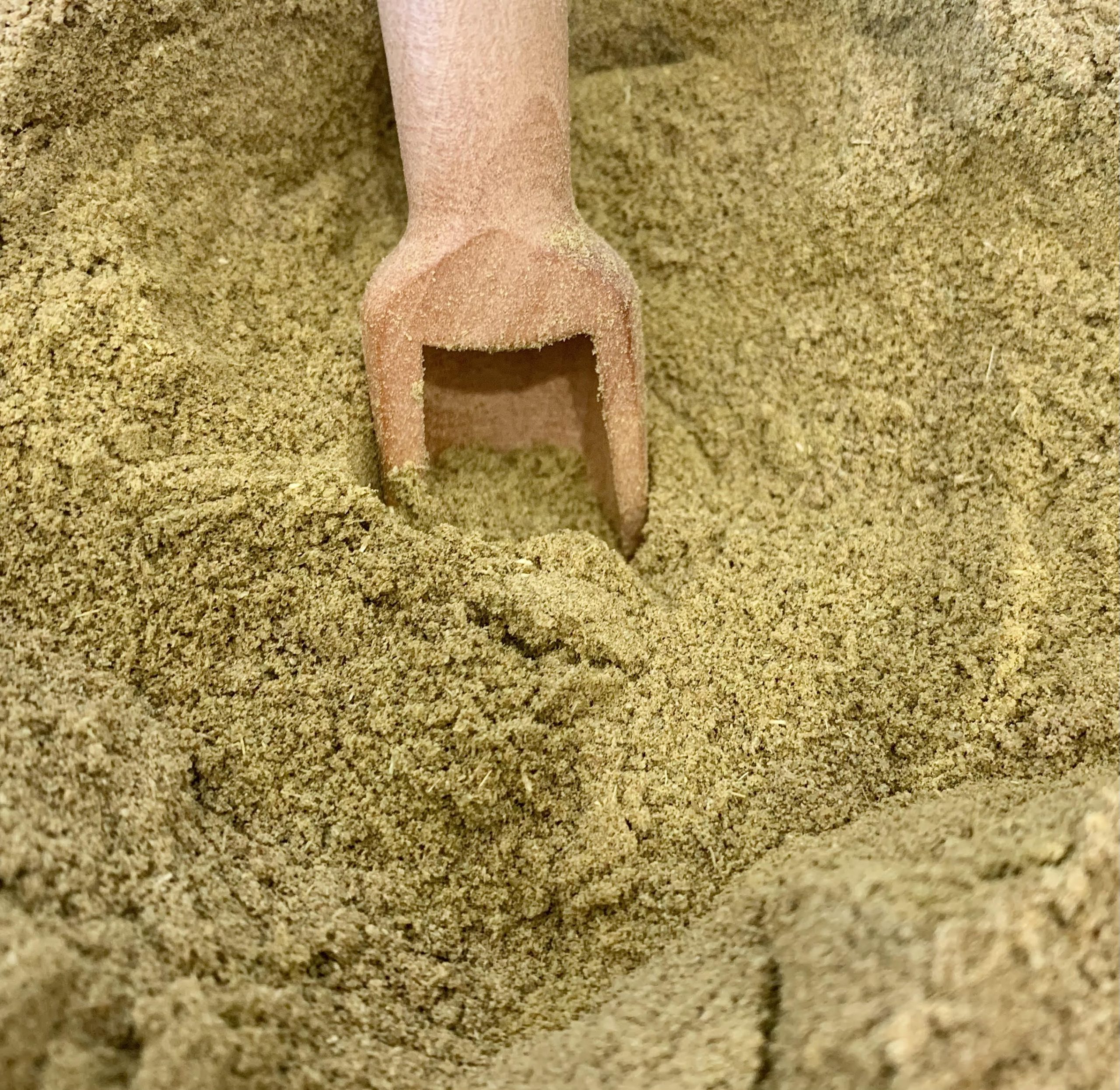 Cumin poudre