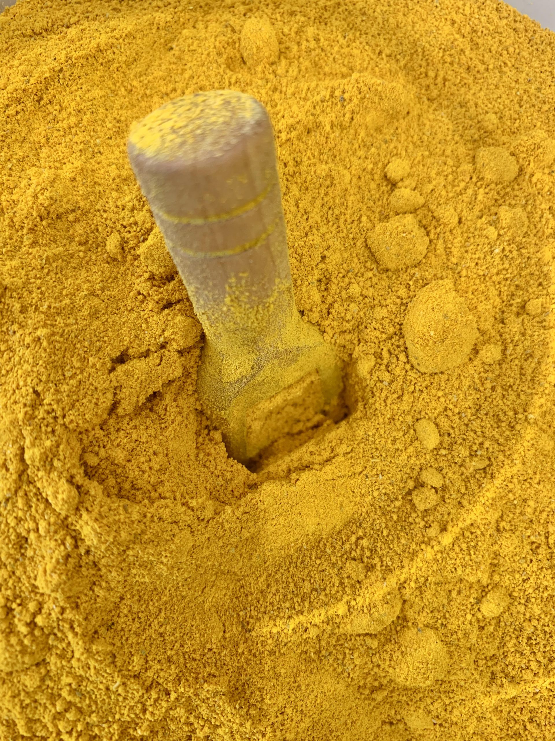 Curcuma poudre