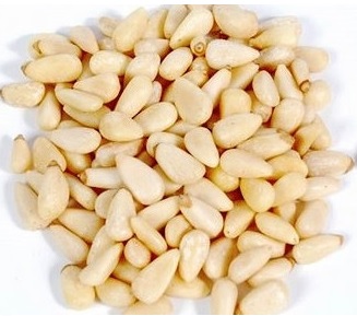 Pignon de Pin Bio – Espagne
